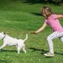 Dogs' impact on children’s health and social-emotional development